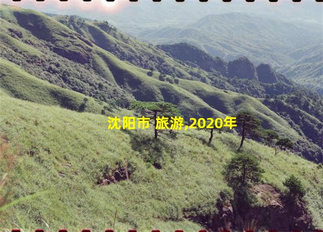 沈阳市 旅游,2020年沈阳旅游数据分析报告